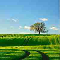 数‍据﻿库‍海​量‍数​据​优﻿化​